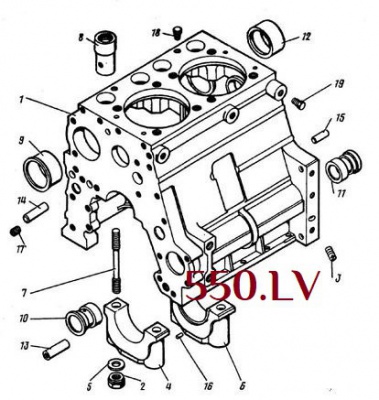Dis imperdiet suspendisse placerat scelerisque