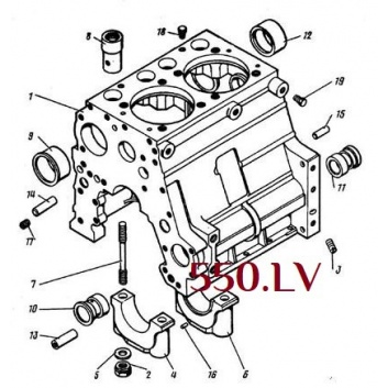 Dis imperdiet suspendisse placerat scelerisque